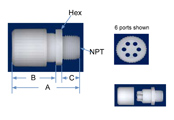 Multi-Flare Male Connector